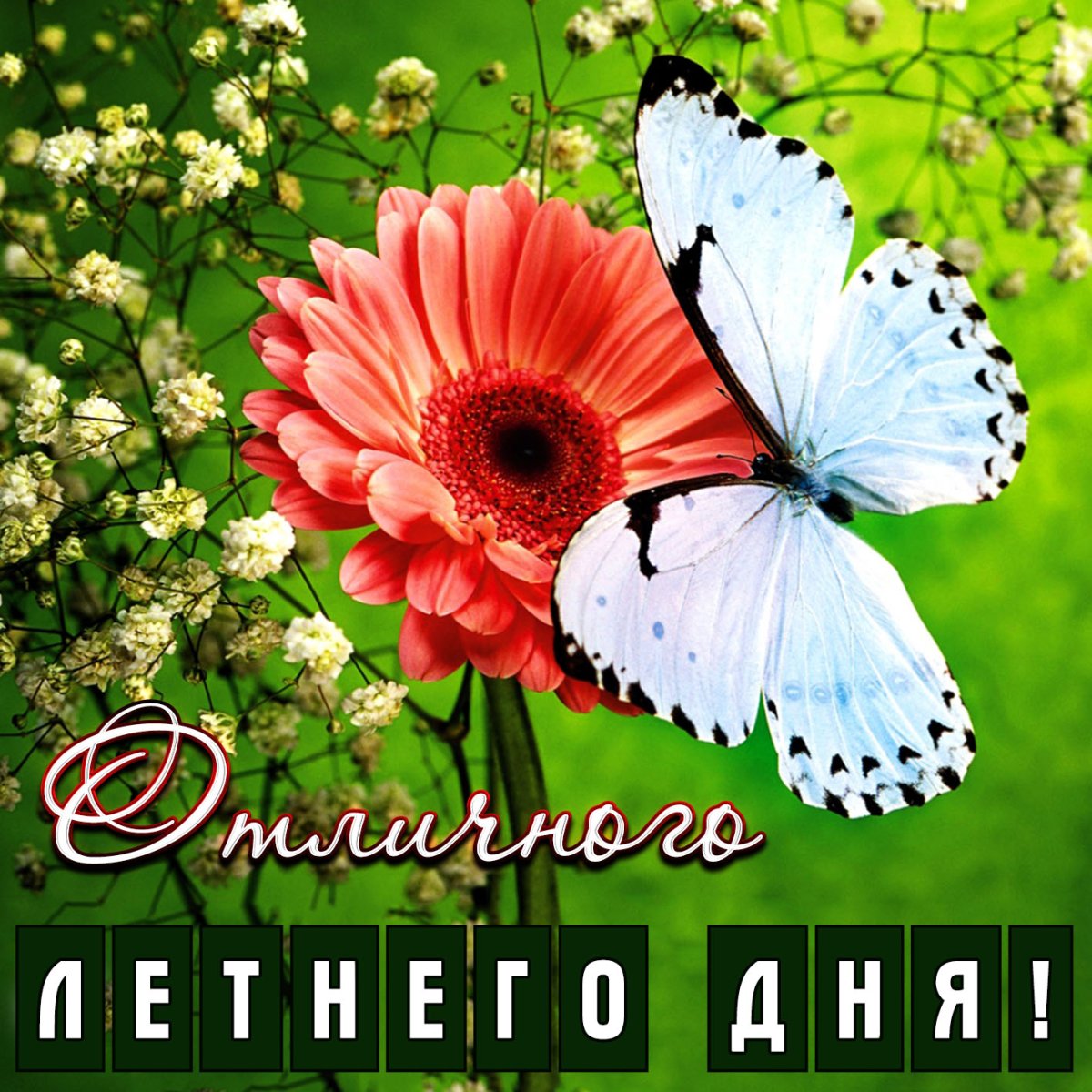 Доброго вторника