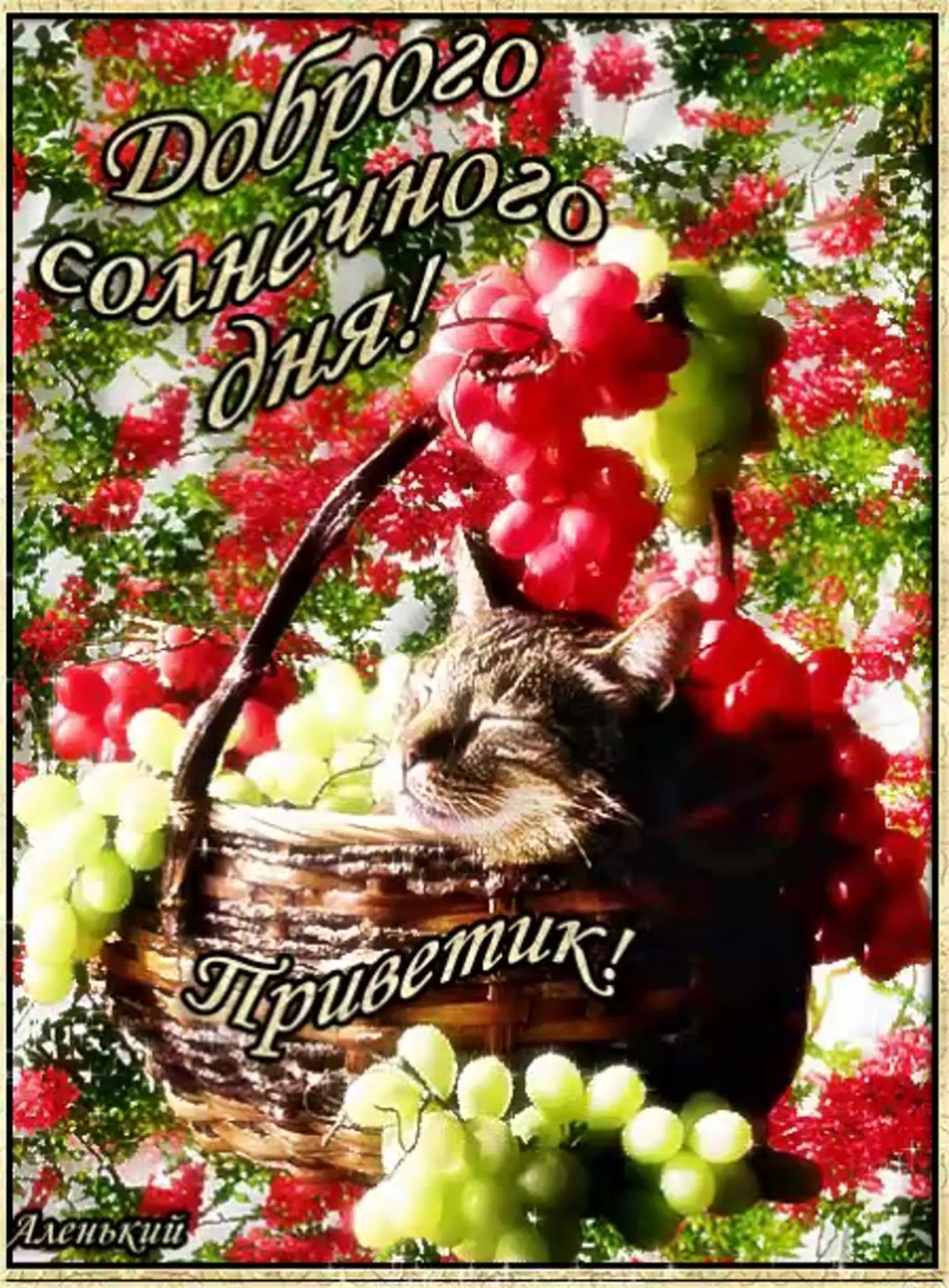 Веселые пожелания на каждый день