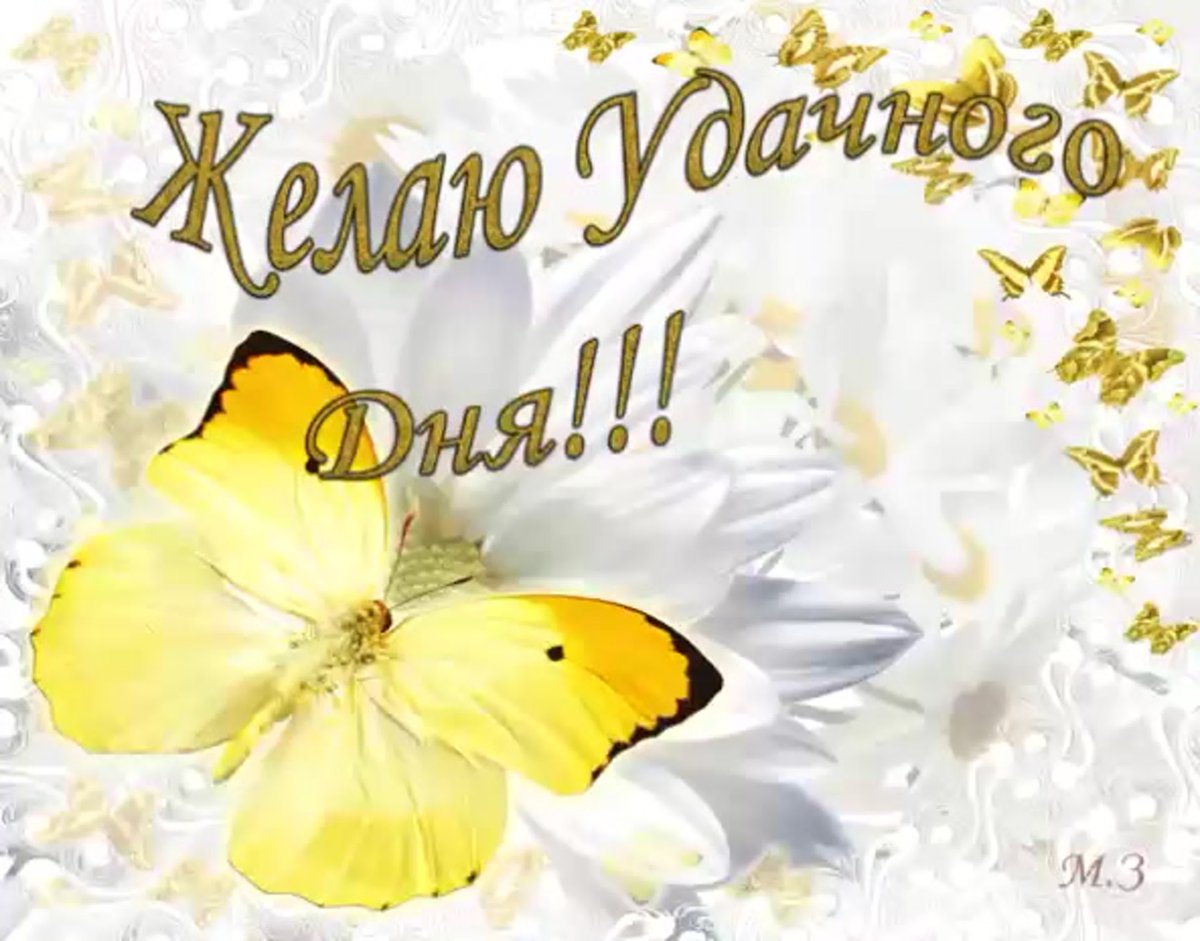 Здравствуй утро доброе