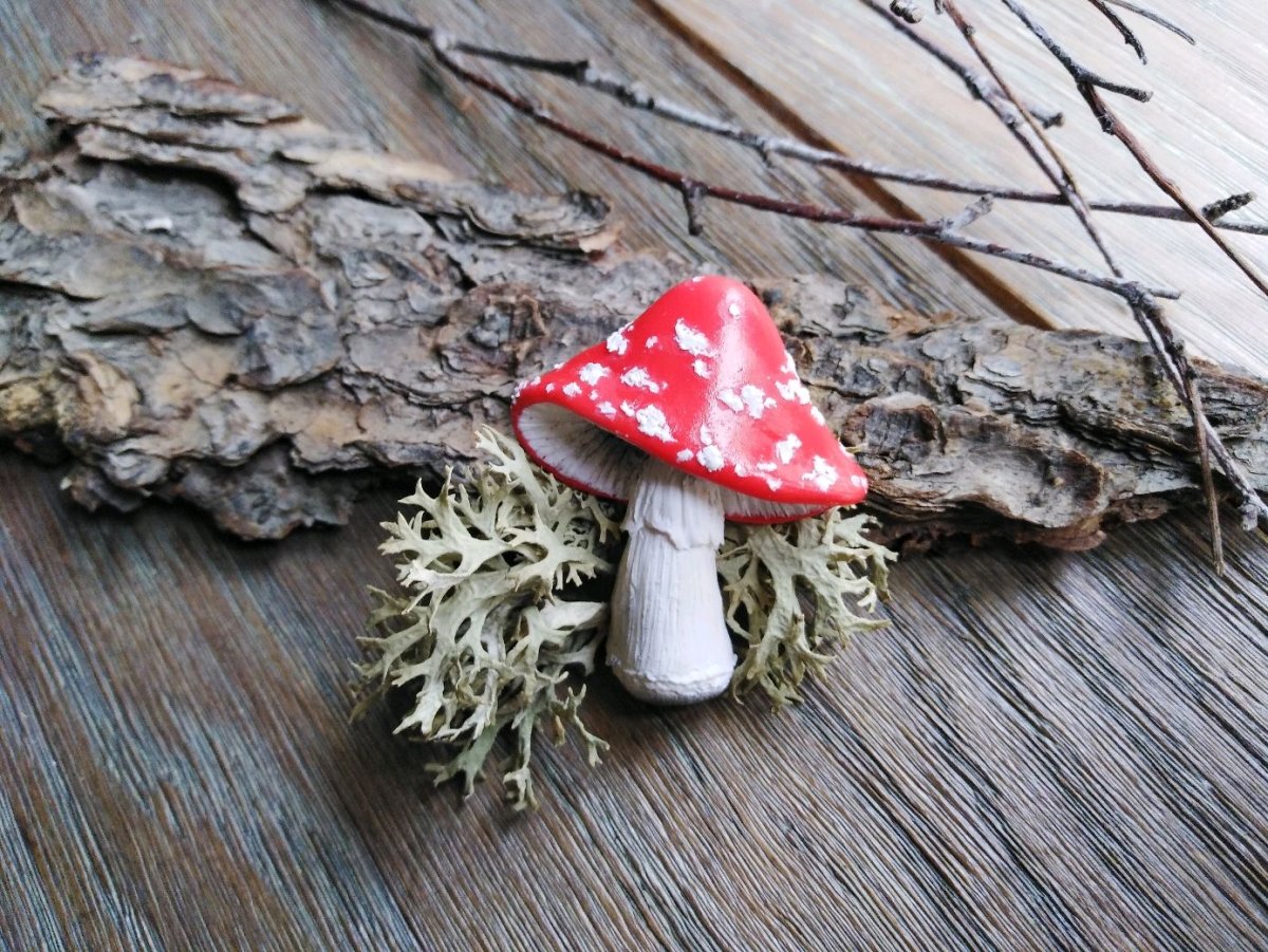 Dreamcore aesthetic грибы