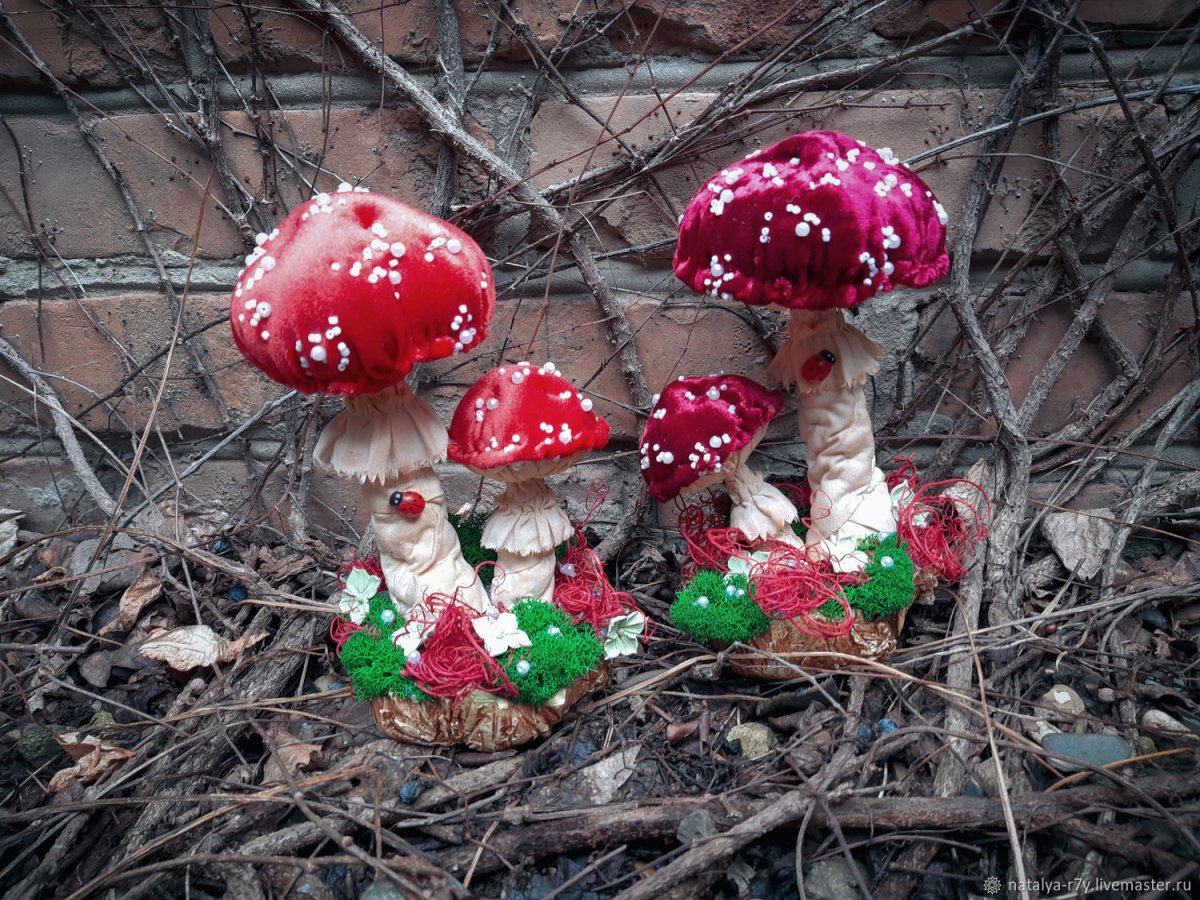 Светящийся мухомор