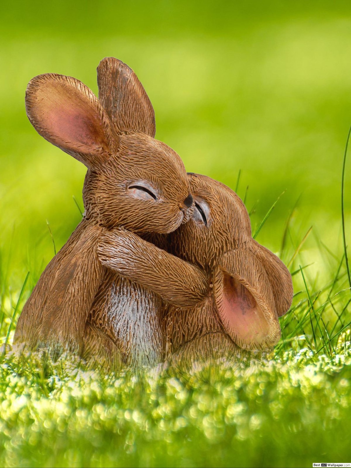 Пара зайчиков мультяшных