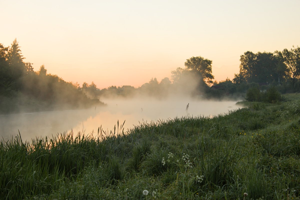 Ноябрь туман