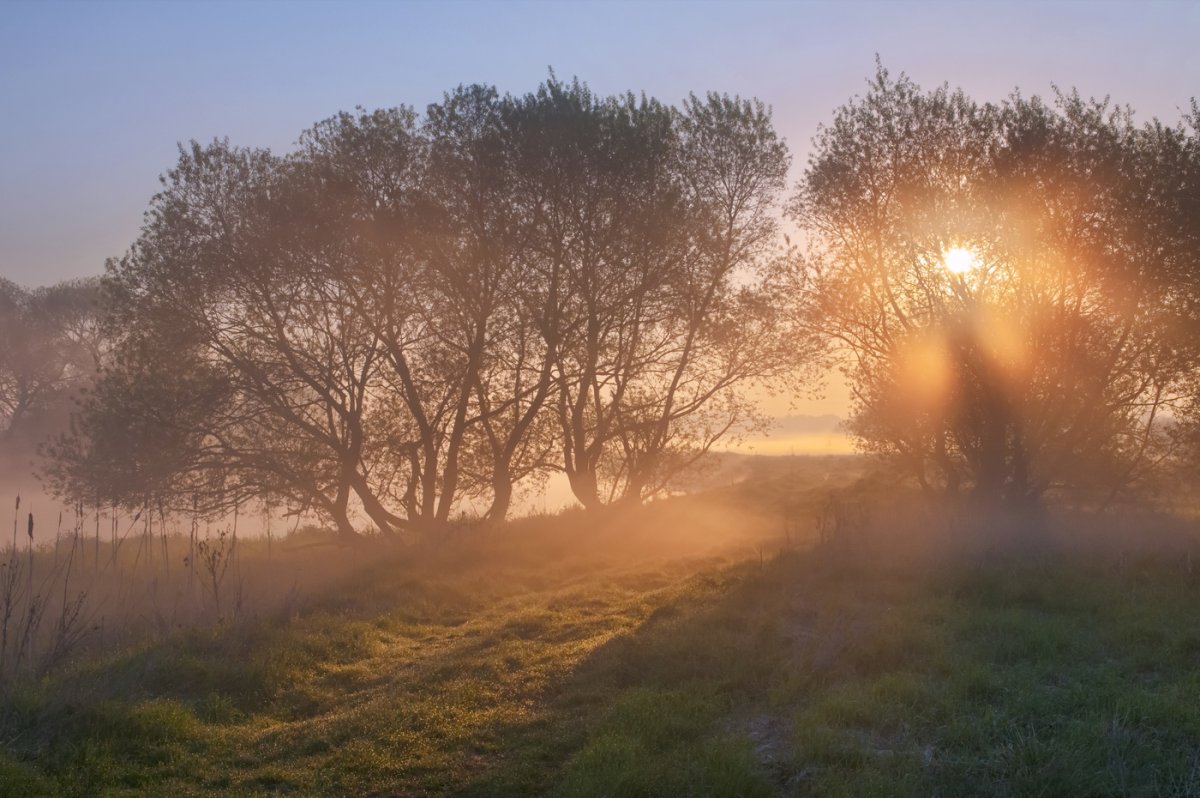 Белоруссия Полесье туман