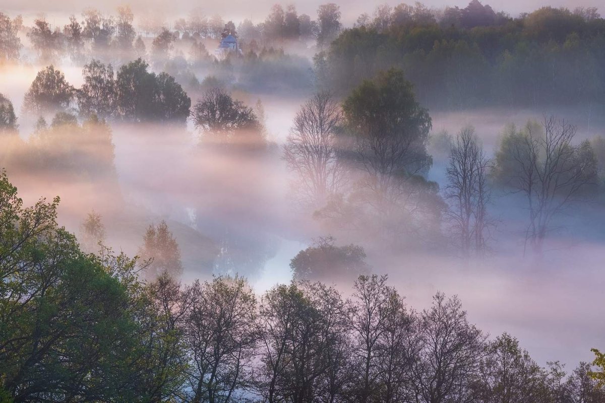 Утренний туман весной