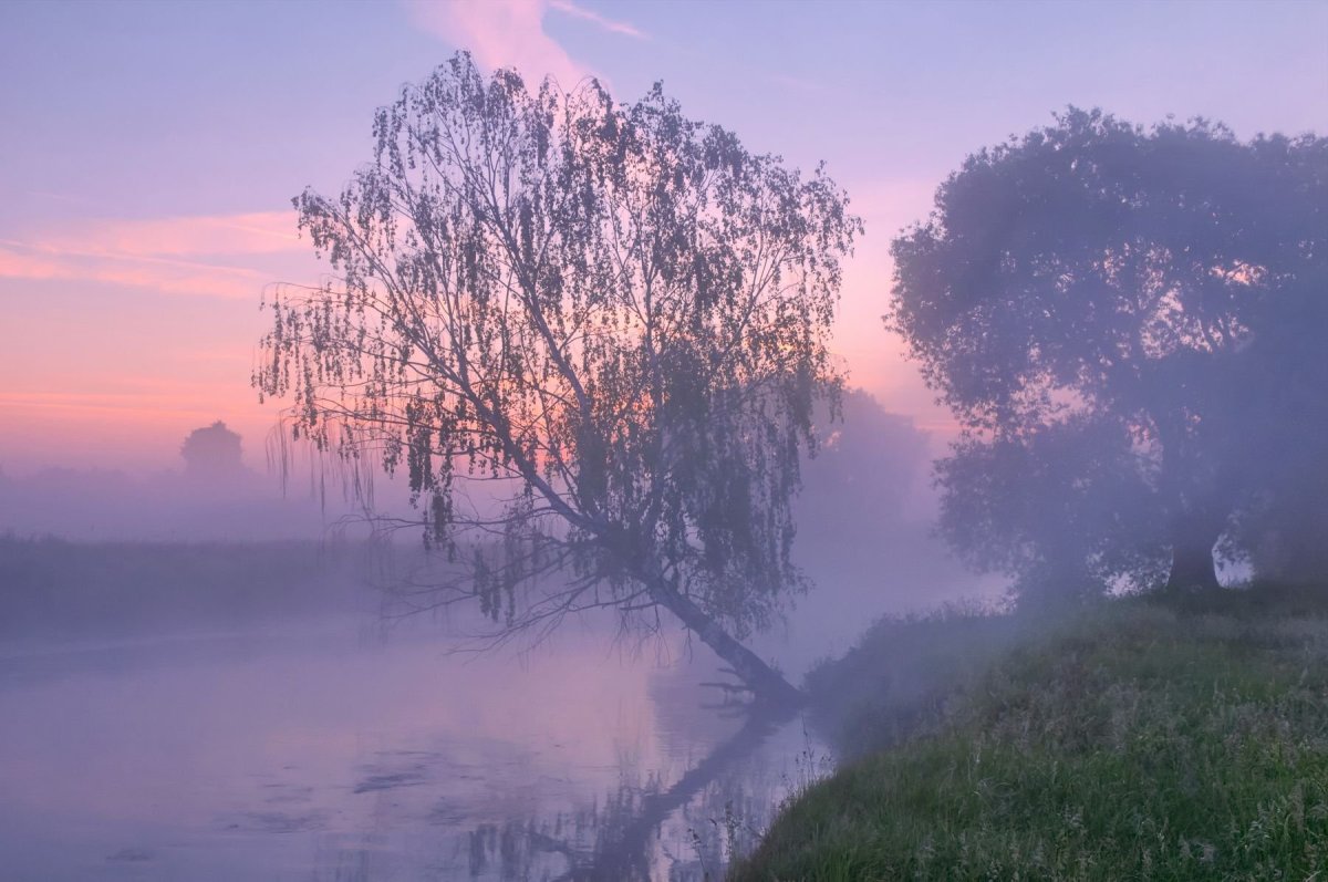 Туманное утро