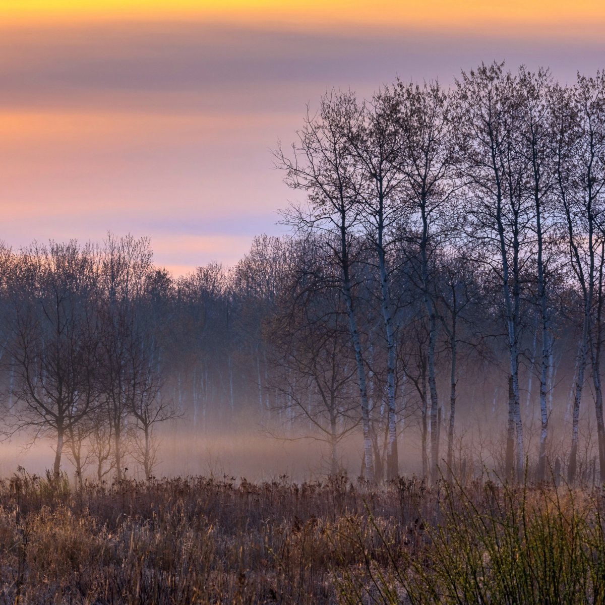 Лугано Церковь туман вечер