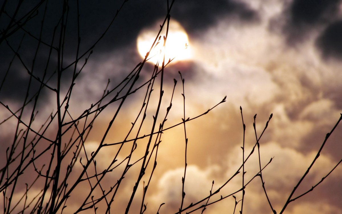 Природа в пастельных тонах