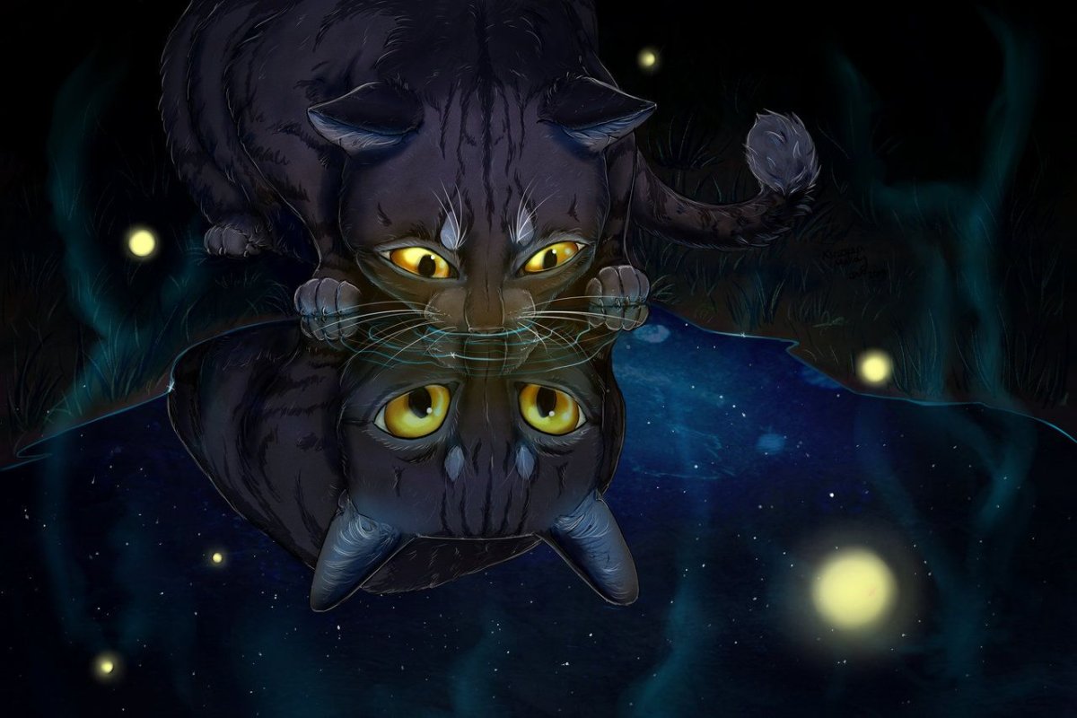 Коты Воители Беззвездная ночь