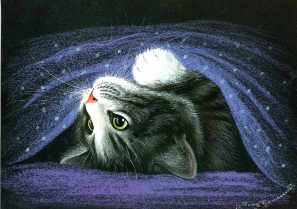 Ирина Гармашова художник коты