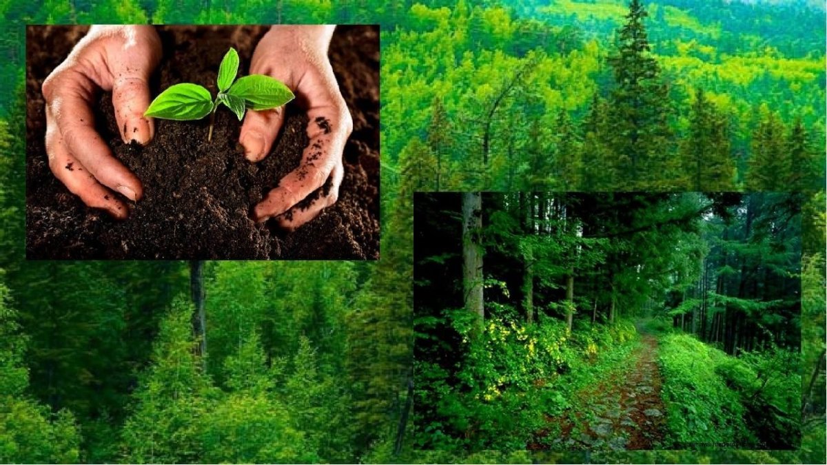 Природоохранные знаки