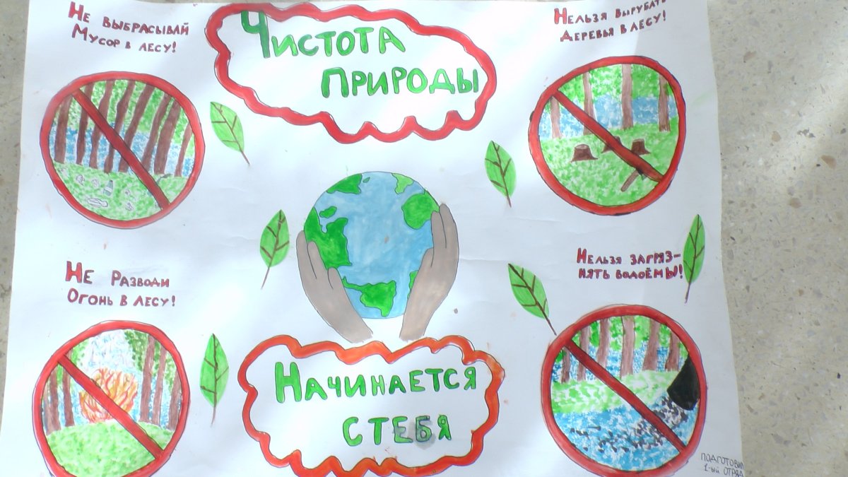 Экология Эстетика