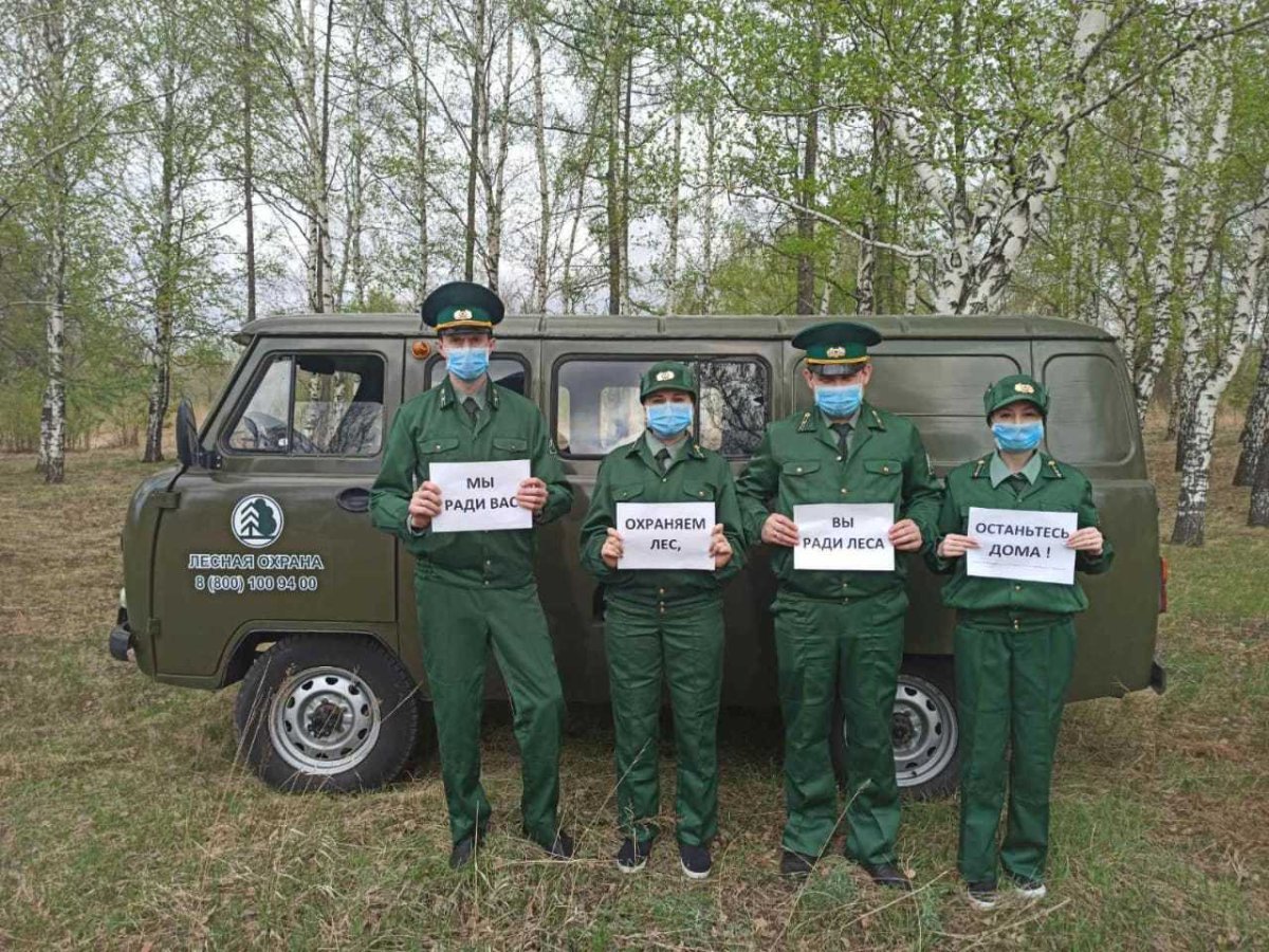 Плакат по защите природы