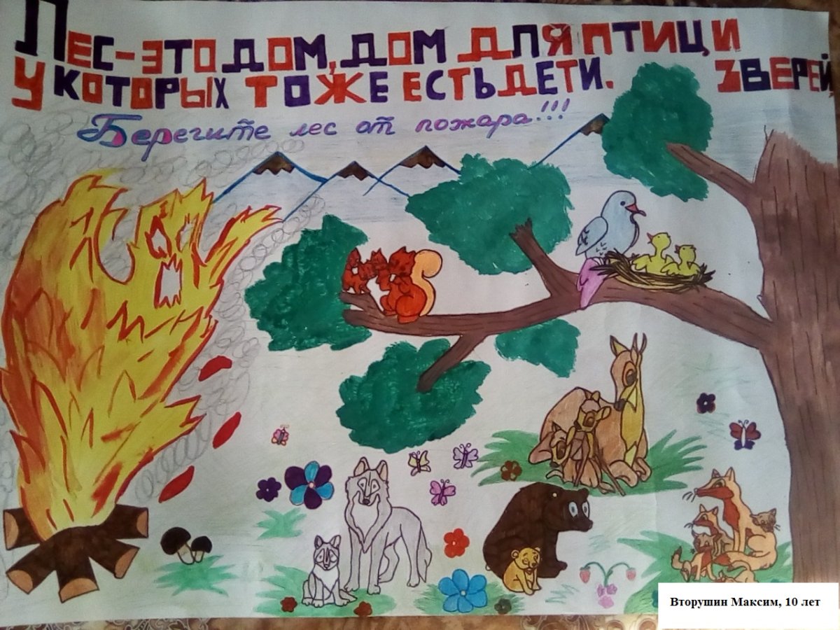 Берегите лес от пожара рисунки