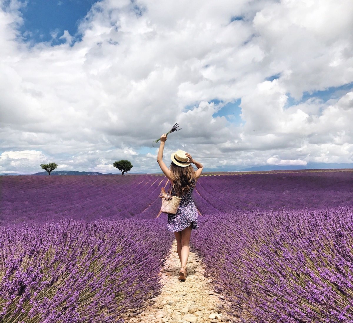 Девушка в поле лаванды
