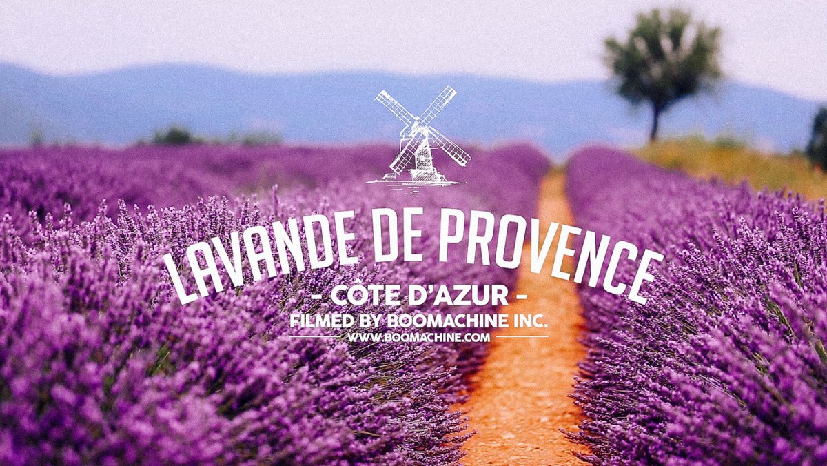 Лаванда обложка