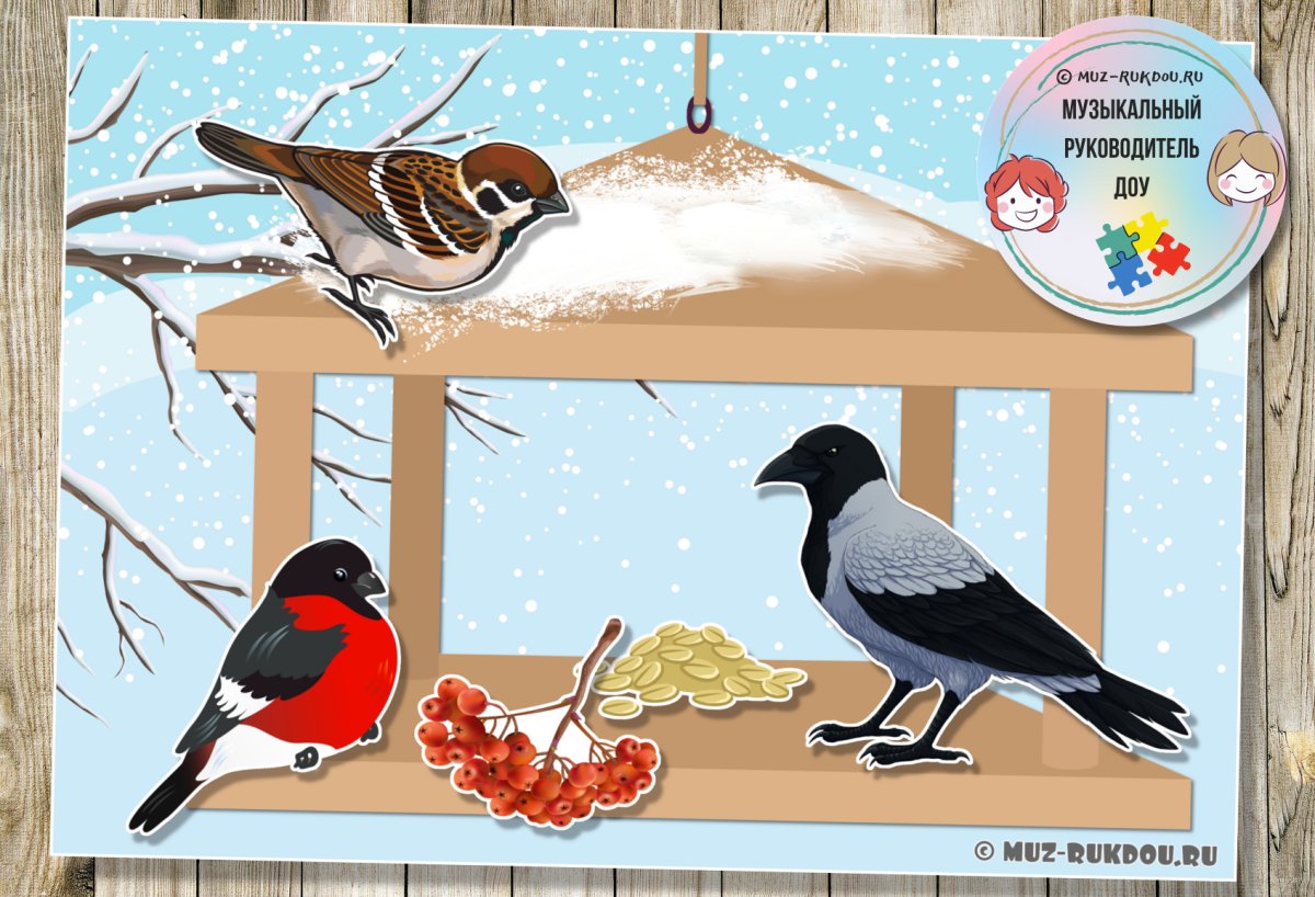 Кормим птиц зимой