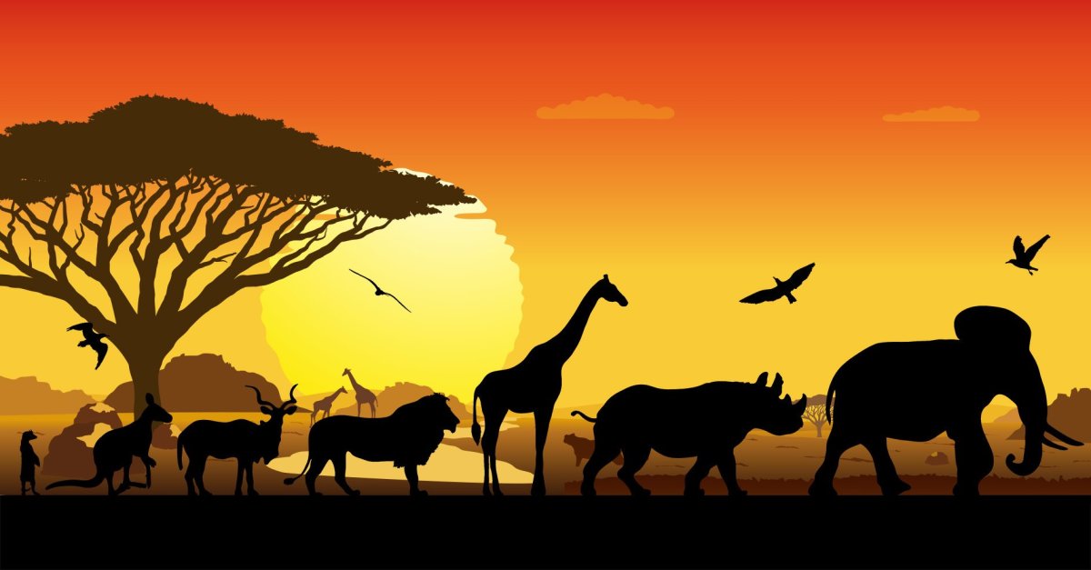 Фон с животными саванны