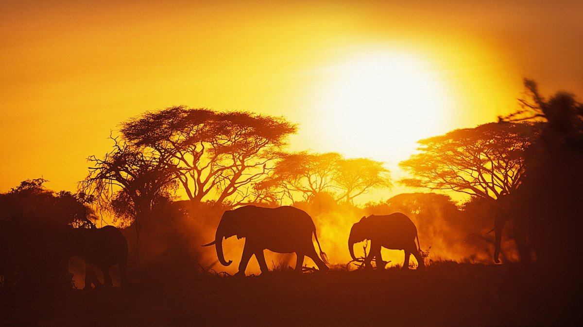 Африканский закат