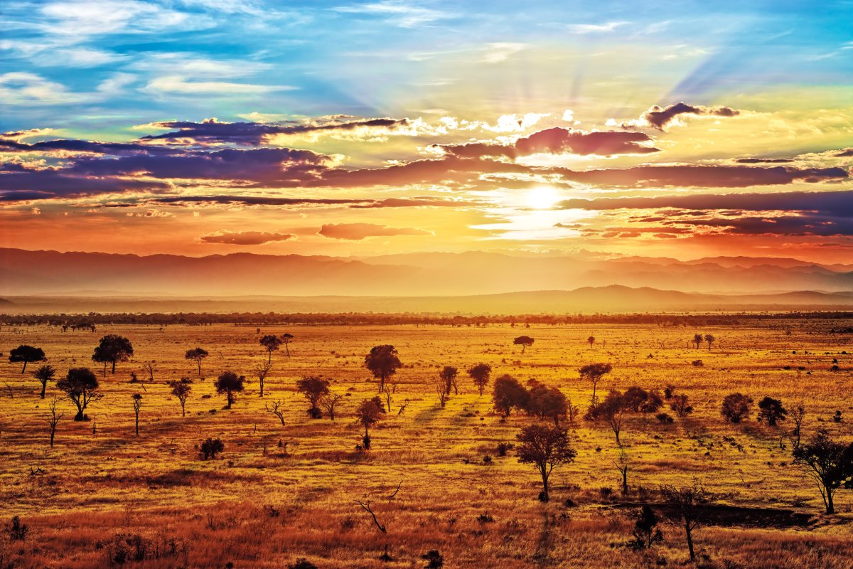 Национальный Африканский танец