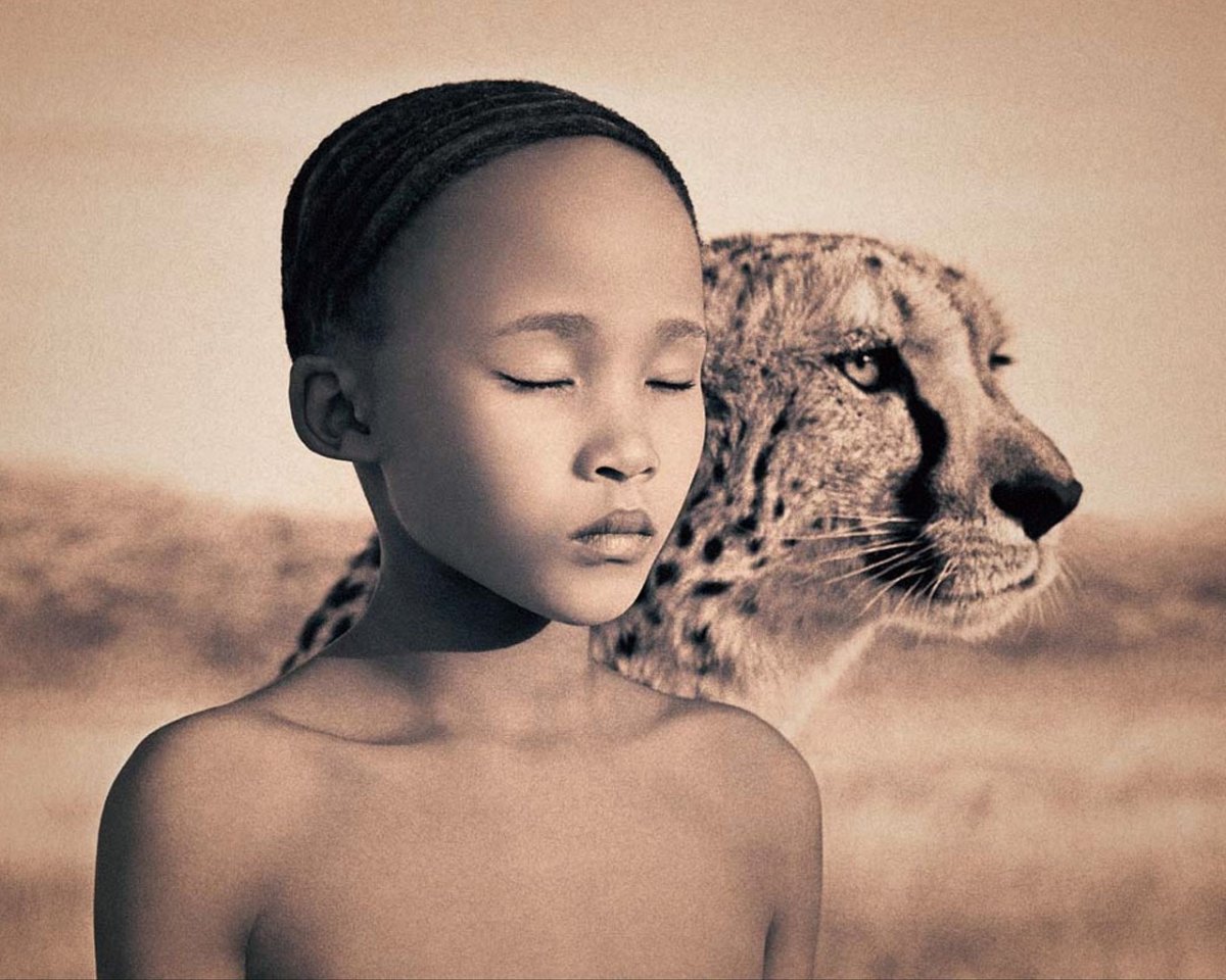 Гепард в саванне