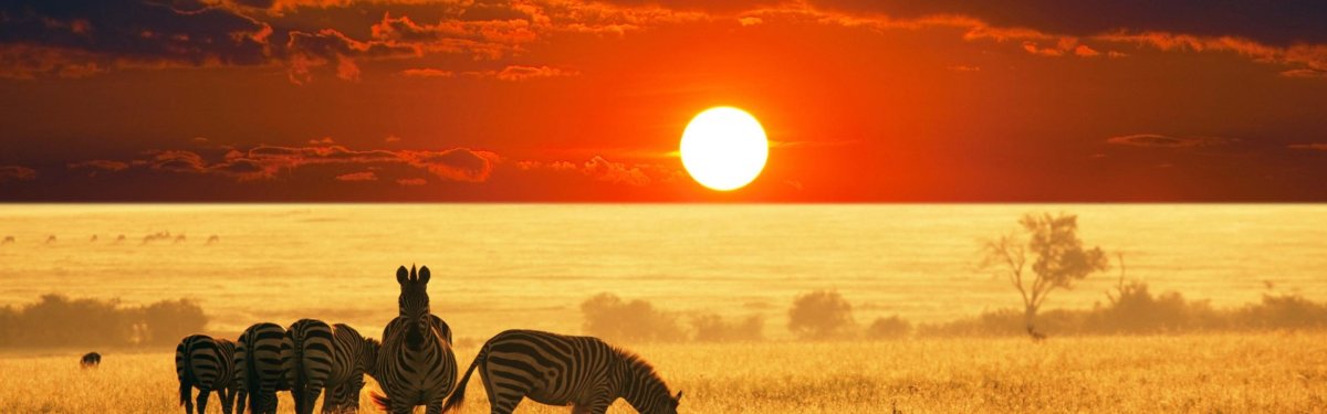 Африка презентация