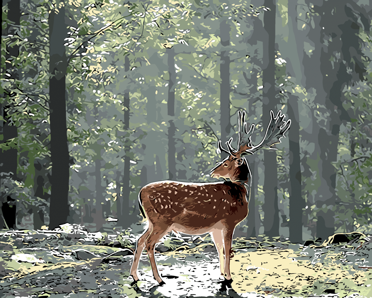 Красивый олень