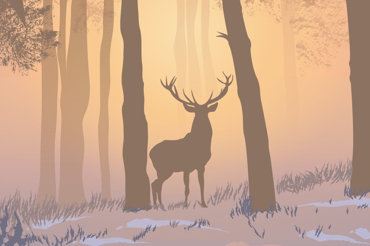 Олень на фоне леса