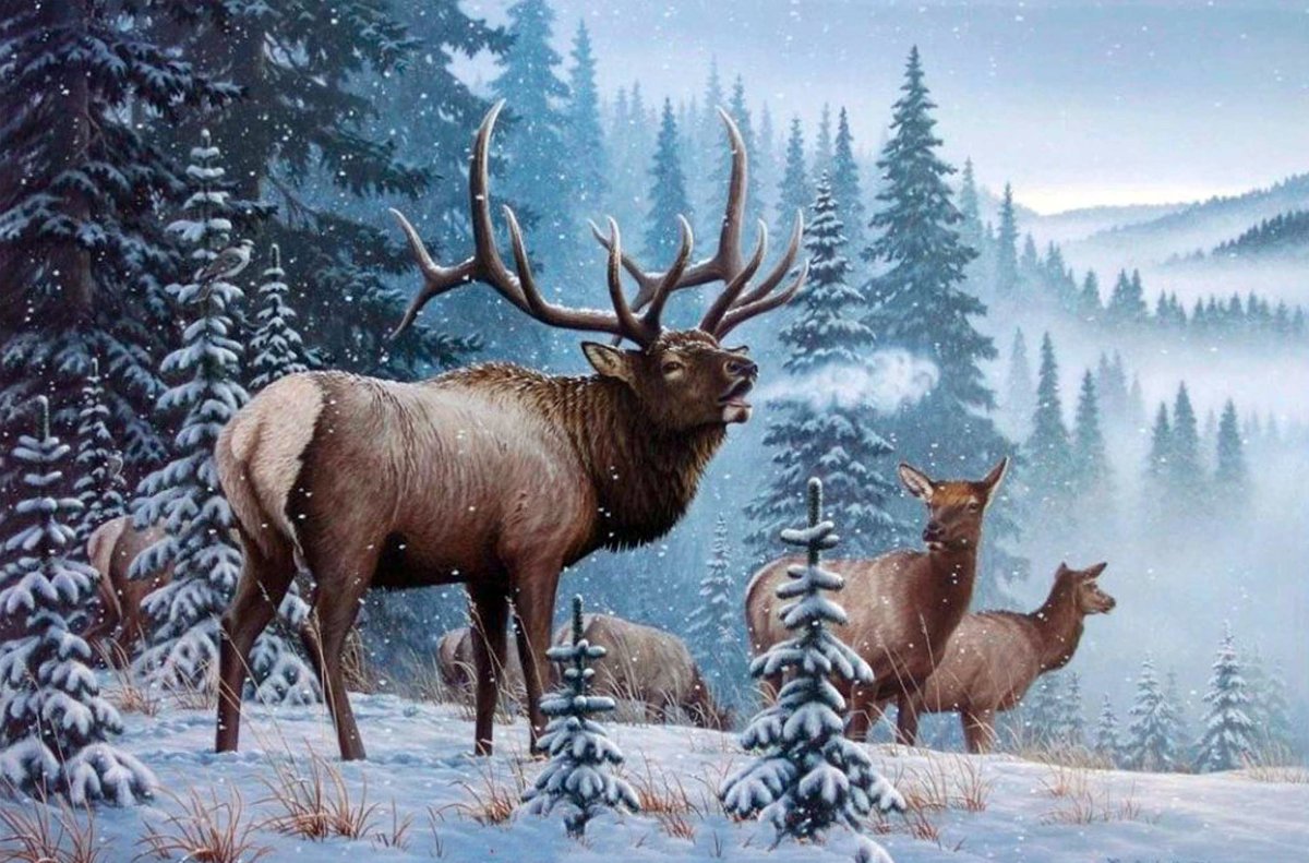 Пейзаж с дикими животными