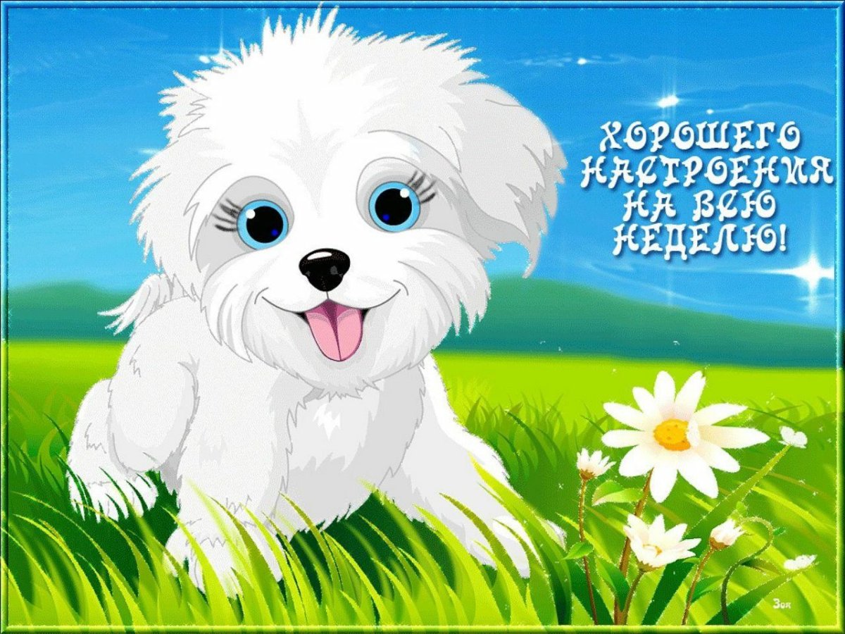 Открытки для тебя очень красивые