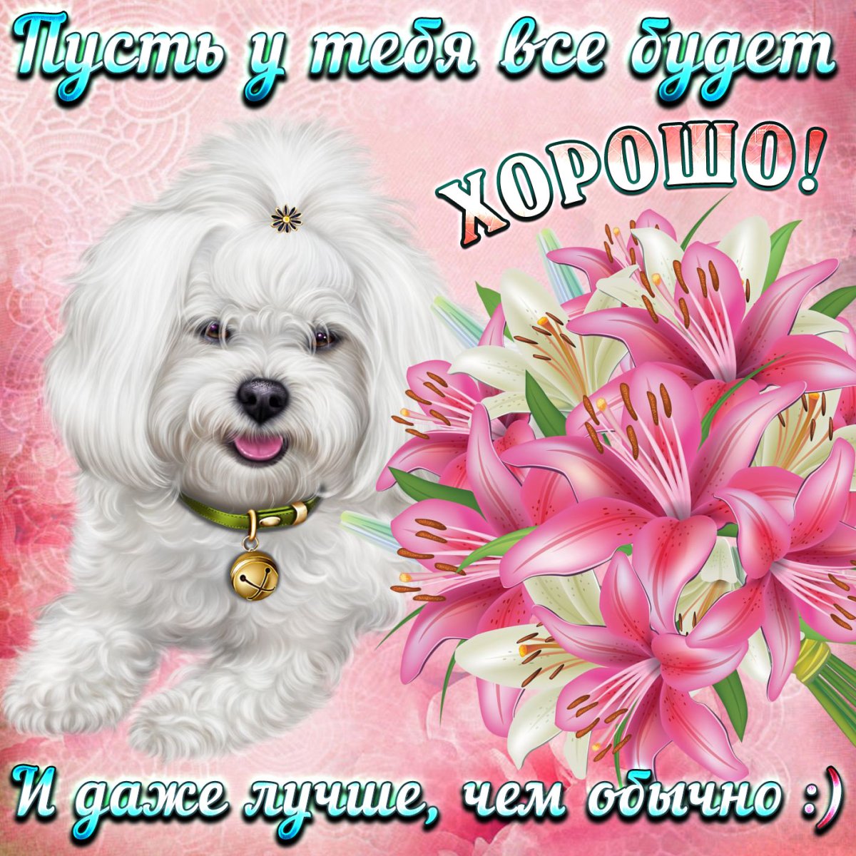 Счастье солнце