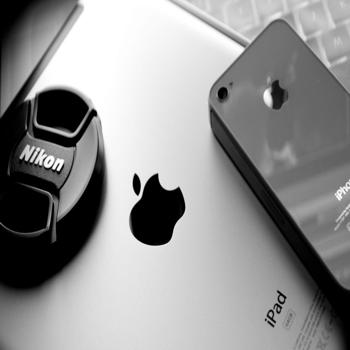 Смешные обои на айфон