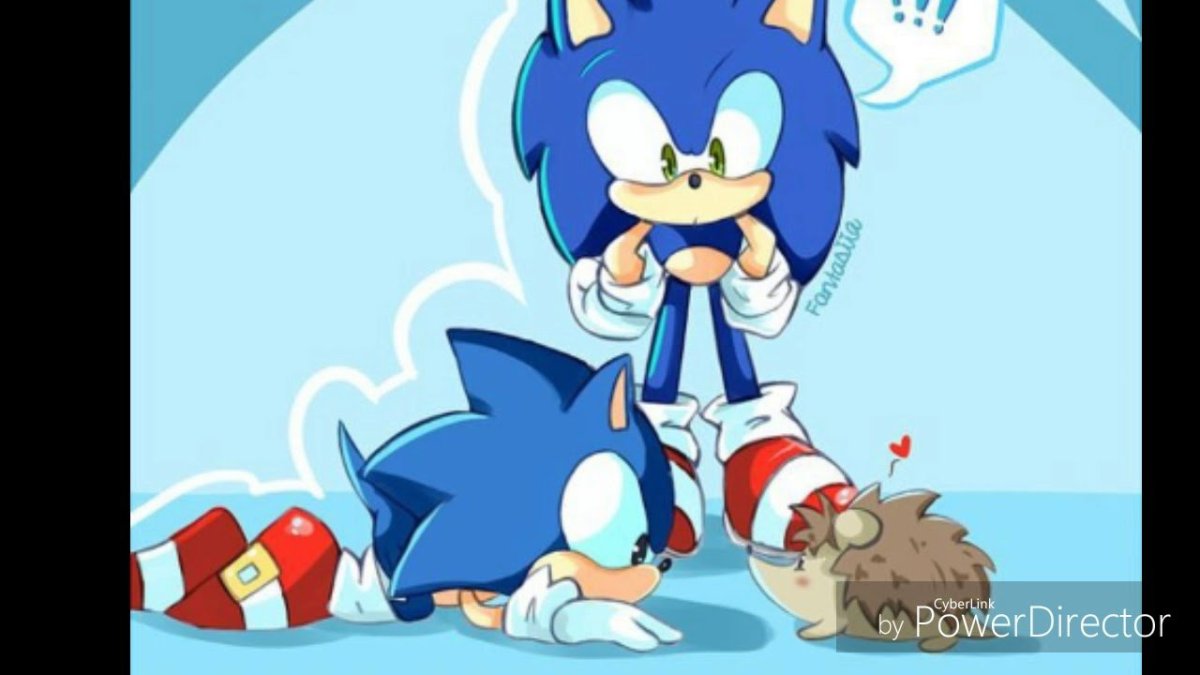 Fan персы Соника Ежи