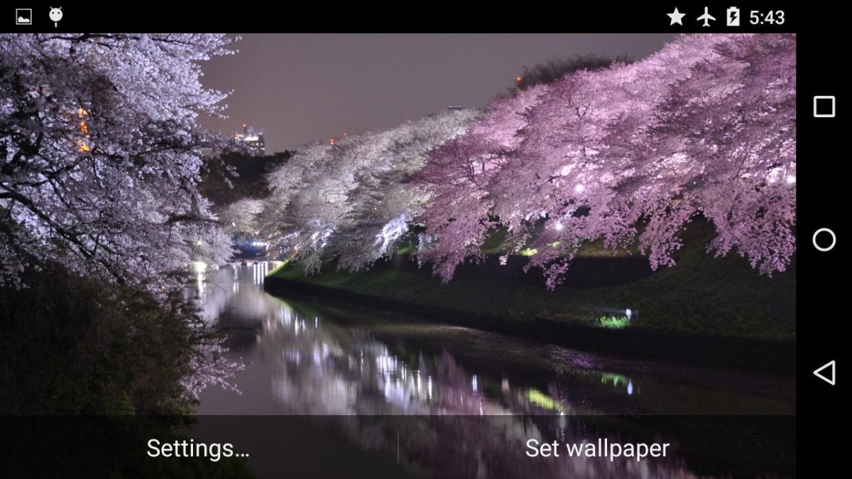 Ранняя Весна в Японии