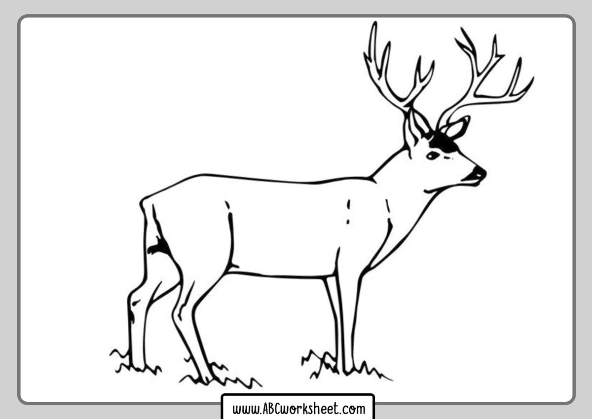 Раскраска зимняя олень для детей