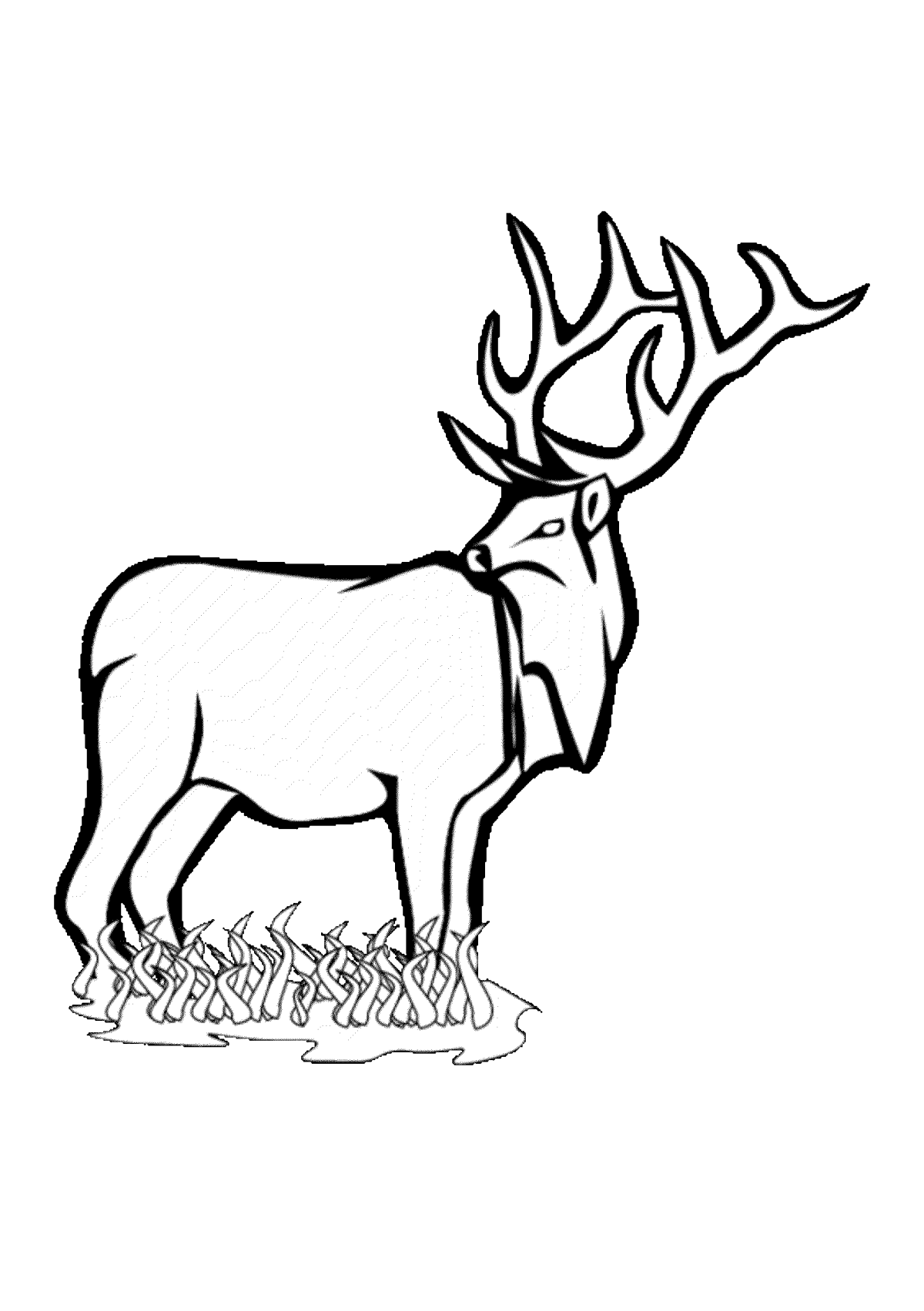 Пятнистый олень раскраска для детей