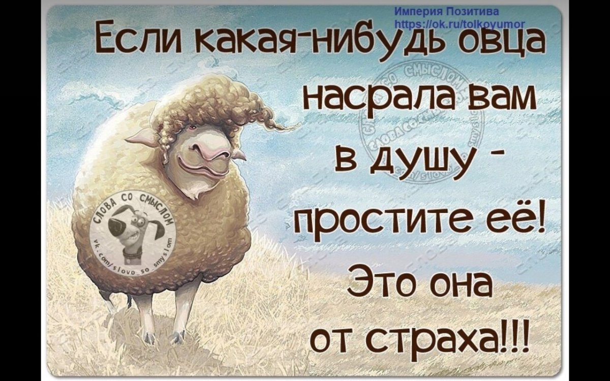 Позитивные фразы в картинках