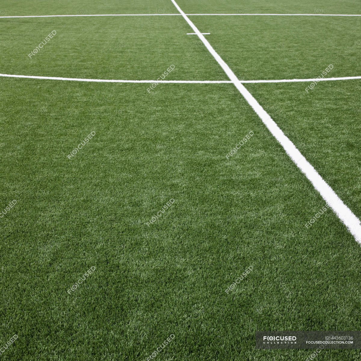 Футбольное поле в лесу