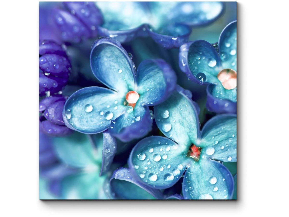 Цветы в голубых тонах