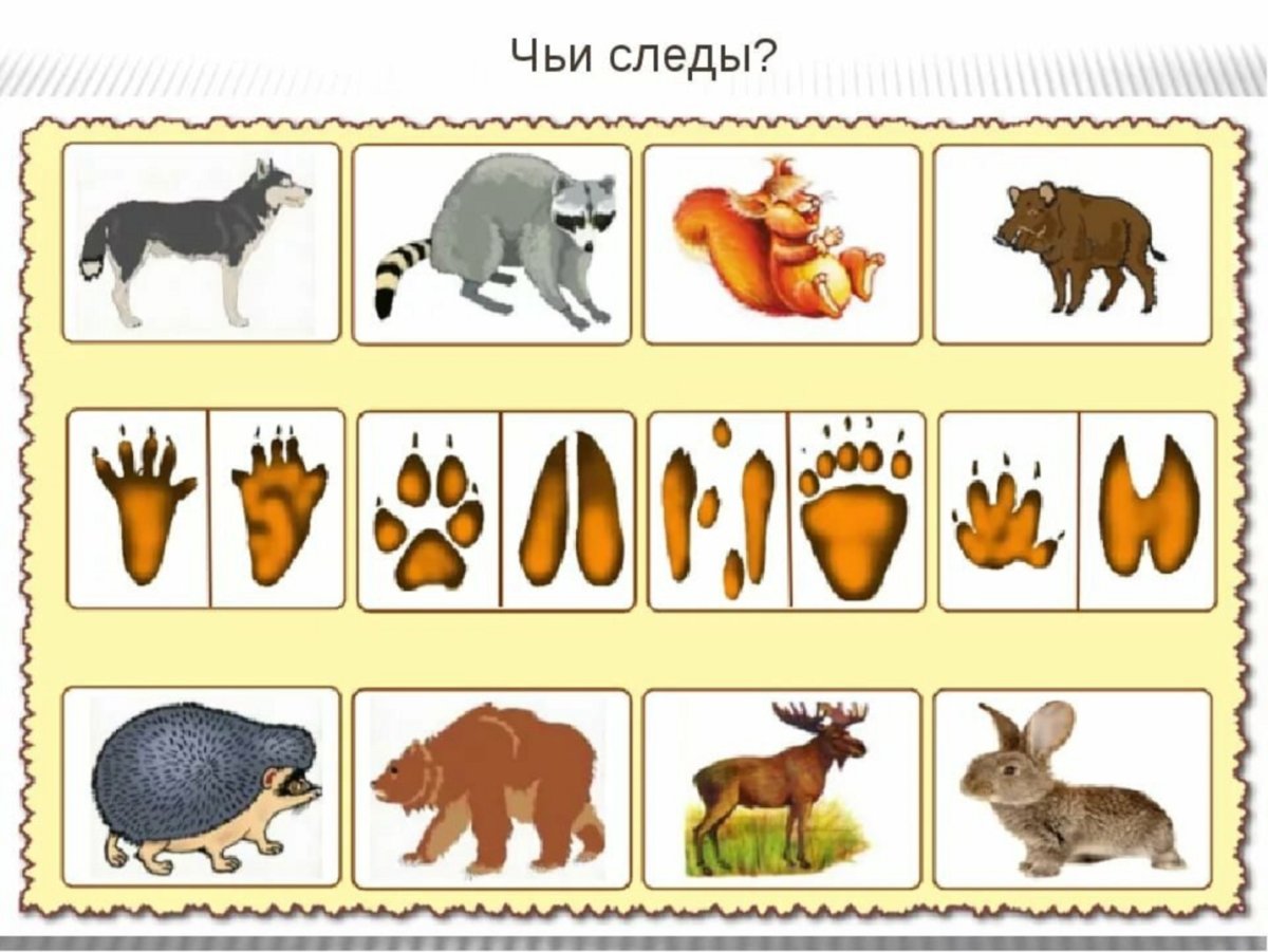 Лексическая тема Дикие животные