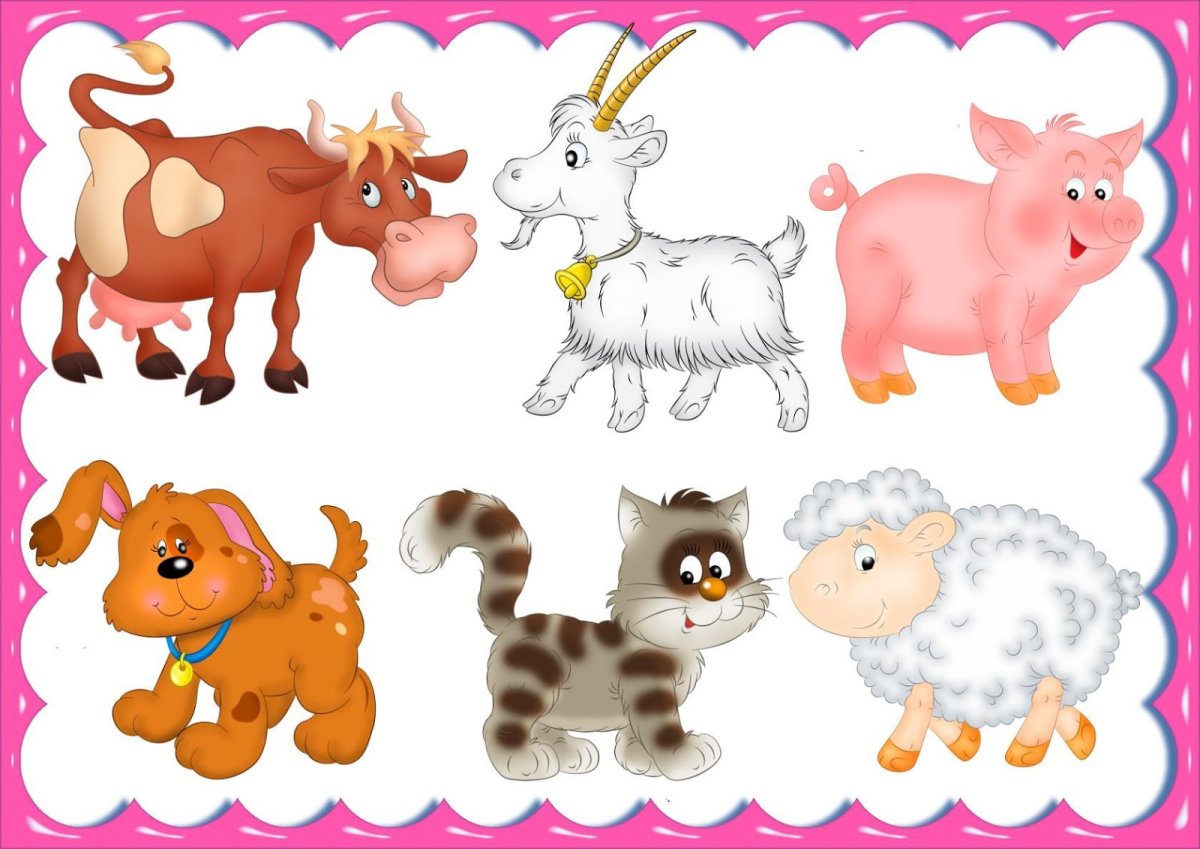 Домашние животные для детей