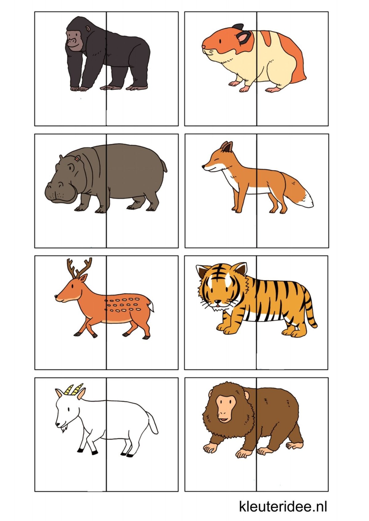 Дикие животные для дошкольников