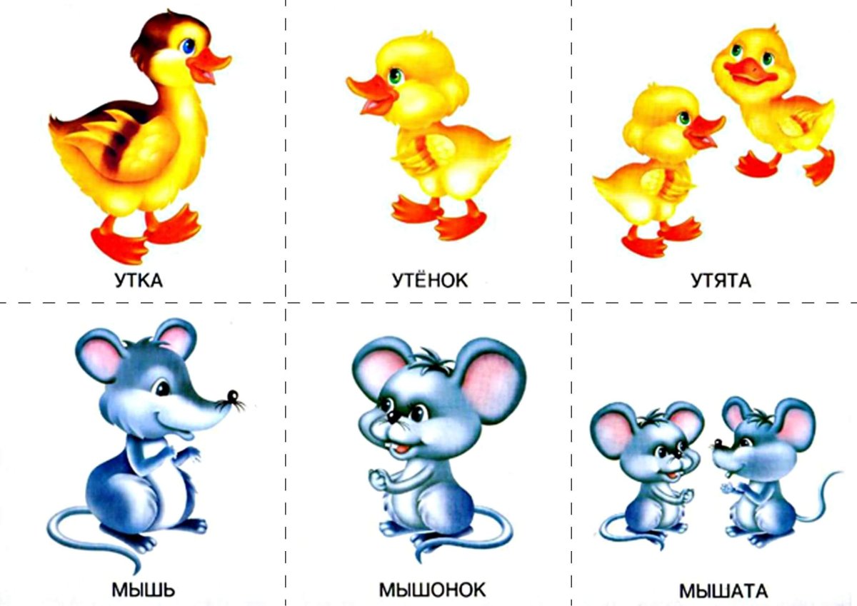 Где чьи малыши развивающие карточки для детей