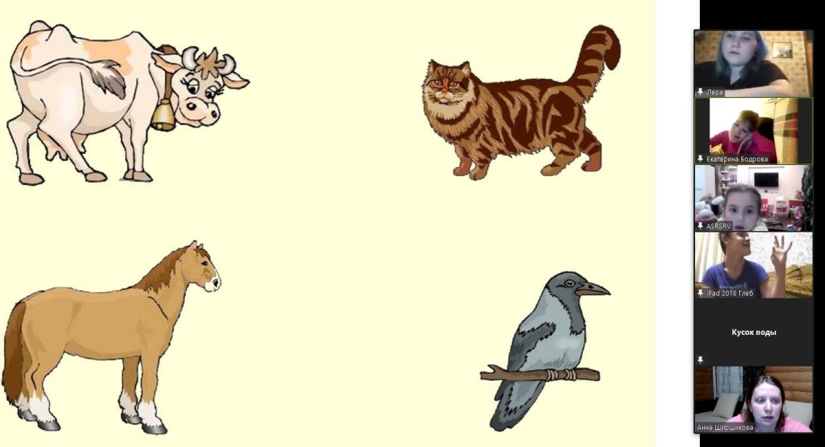 Игра четвертый лишний домашние животные