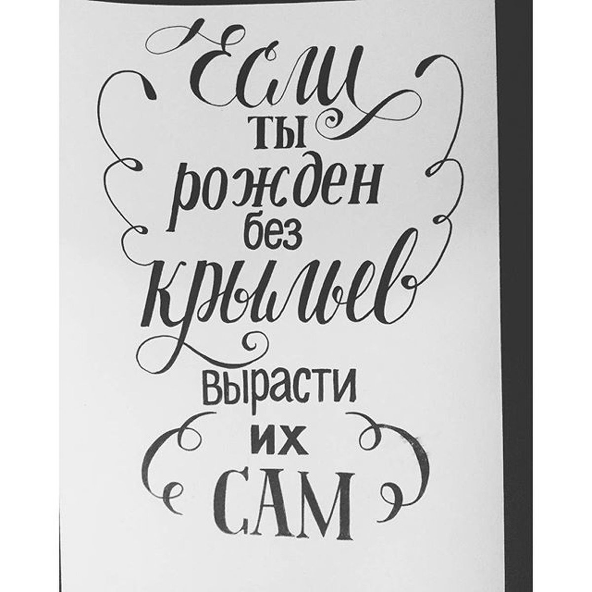 Мотивирующие фразы