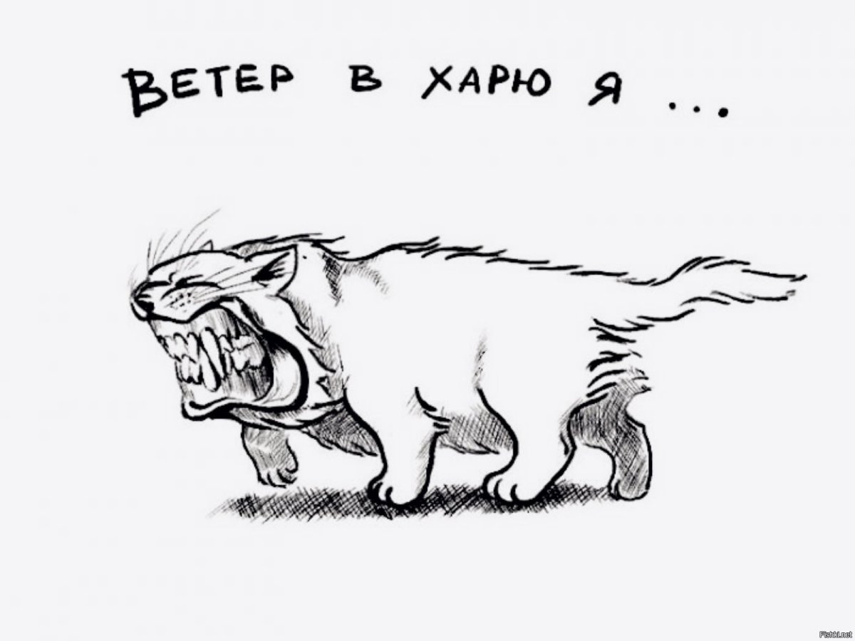 Ветер карикатура
