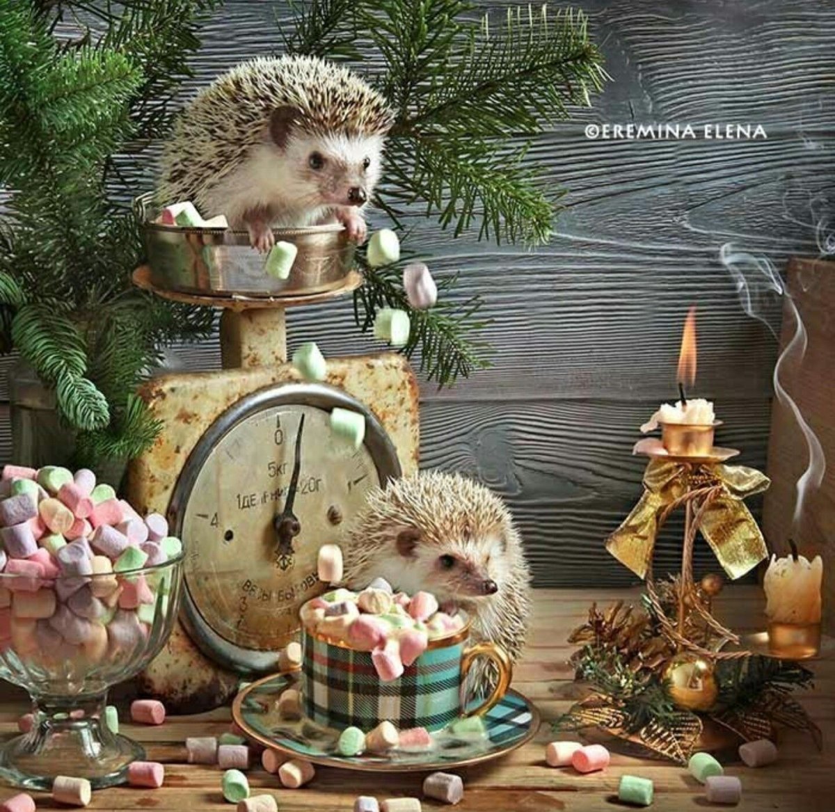 Милые ежики Елена Еремина