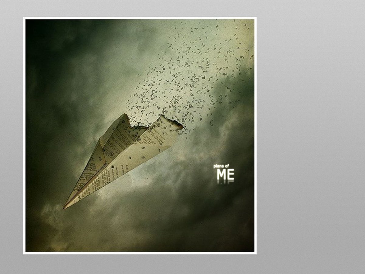 Фразы с ветром смешные