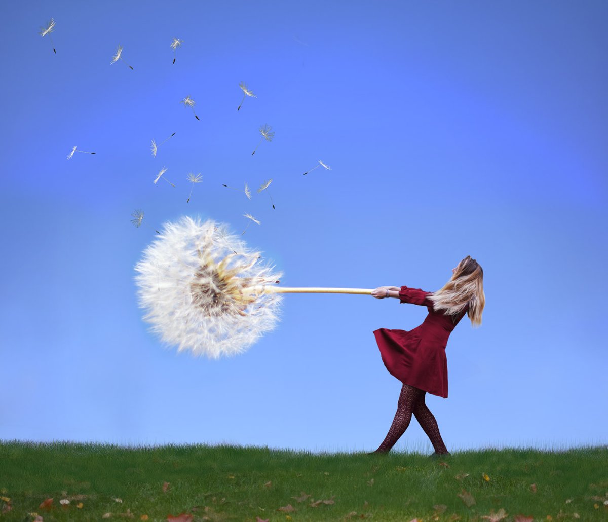 Девушка сдувает одуванчик