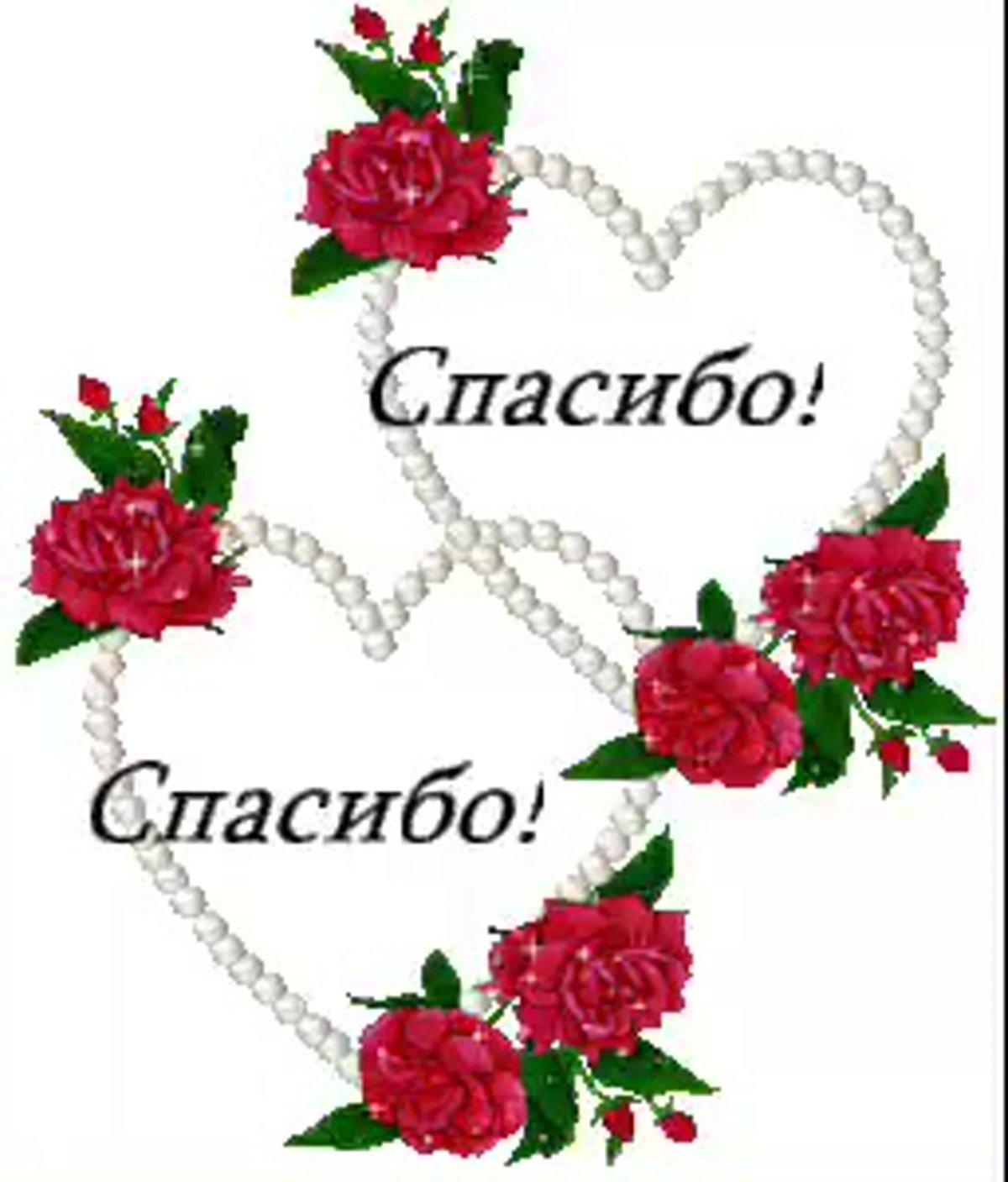 Таня всегда права